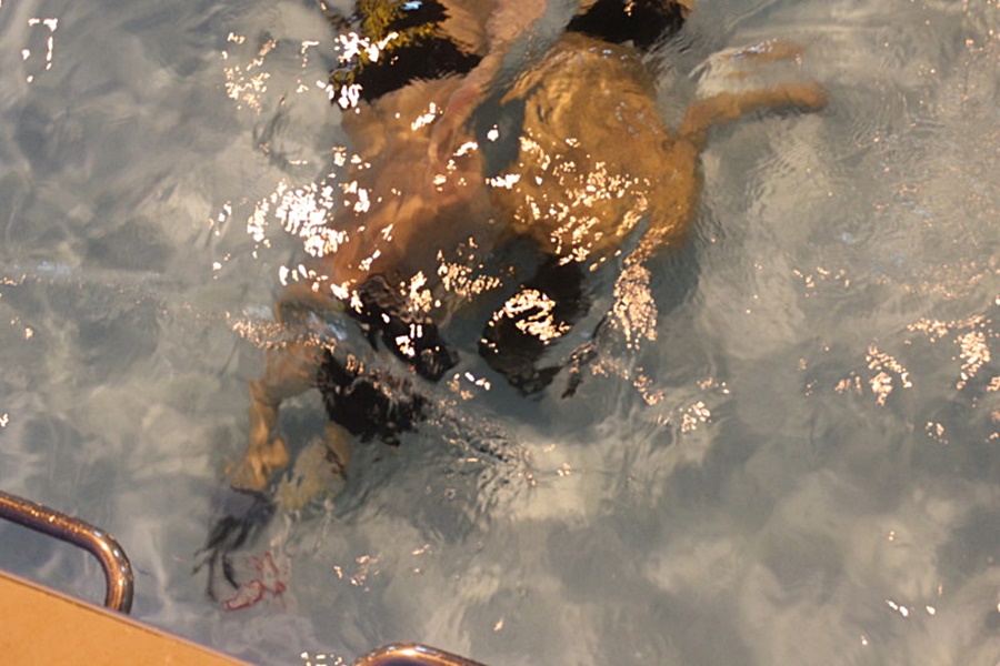 Hokej pod wodą Walenie Siemianowice Śląskie XII 2013